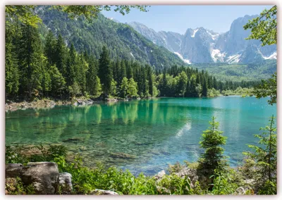 Produktbild von XXL Poster 100 x 70cm (S-816) Klarer Gebirgssee umgeben von Nadelwald, im Hintergrund mit imposanten schneebedeckten Gebirgsmassiven (Lieferung gerollt!)