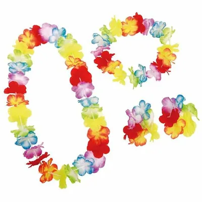 Obrázek produktu pro Kostým Accessoires Set My Other Me Hawaiianerin