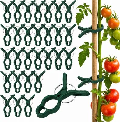Produktbild von 50 große Pflanzenclips für Tomaten und Orchideen | Wetterfeste Pflanzenklammern aus Kunststoff für Rankhilfen und Kletterpflanzen im Garten, 7,5 x 5,5 cm