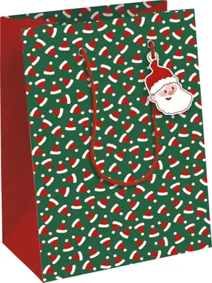 Produktbild von Clairefontaine 6x Weihnachtsmann Geschenktasche 21,5x10,2x25,3cm Grün X-32793-3C