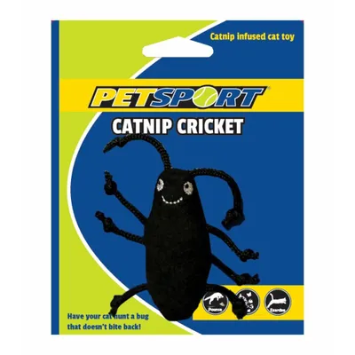 Image de Herbe à chat Cricket noir