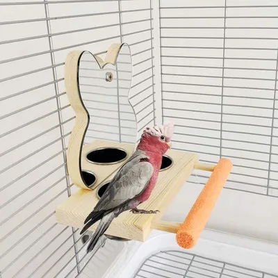 Produktbild von Vogelständer mit Spiegel und Edelstahlnapf aus Holz, Vogelkäfig, Spielzeug für Papageien, Wellensittiche, Nymphensittiche, Finken, Liebevögel, Graupapageien, Ara, Käfig, Holzspielzeug