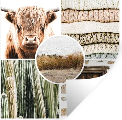Produktbild von MuchoWow® Wandtattoo Wandsticker Wandaufkleber Schottischer Highlander - Collage - Böhmisch 50x50 cm Selbstklebend und Repositionierbar - Selbstklebend - Fototapeten