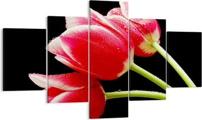 Produktbild von Bild auf Leinwand - Leinwandbild - Tulpe garten blume blumenstrauß - 125x70cm - Wand Bild - Wanddeko - Leinwanddruck - Bilder - Kunstdruck - Leinwand bilder - Wandkunst - EA125x70-1494
