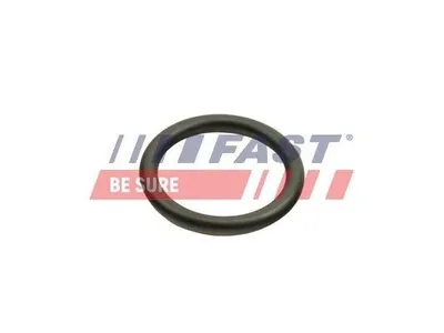 Produktbild von FAST Dichtungssatz Ölkühler Dichtung Ölkühler FT48940 für FIAT Ducato Kastenwagen (250, 290)