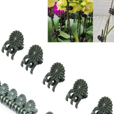 Image de 50Pcs Plastic Plant Clips Vine Fixing Clip Gardening Clips for Orchid Tomato