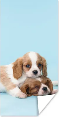 Produktbild von MuchoWow® Poster Zwei schläfrige Welpen 80x160 cm - Kinderzimmer