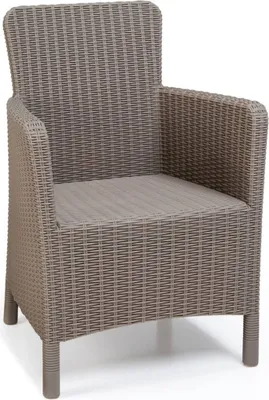 A single rattan armchair on a white background.