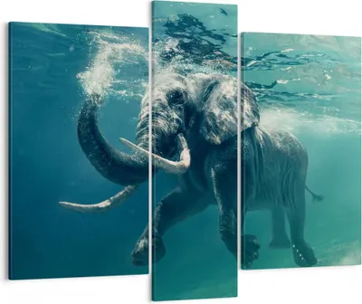 Produktbild von Bild auf Leinwand - Leinwandbild - Elefant Tier Wasser - 95x80cm - Wand Bild - Wanddeko - Wandbilder - Leinwanddruck - Bilder - Kunstdruck - Wanddekoration - Leinwand bilder - Wandkunst - CB95x80-3944