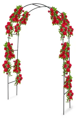 Obrázek produktu pro Kinzo oblouk s růžemi - 240 x 140 cm - Odolná kovová pergola pro zahradu a terasu