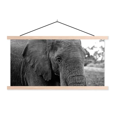 Produktbild von MuchoWow® Textilposter Elefant - Tiere - Schwarz - Weiß - Natur 120x60 cm mit holzfarbenen Rahmen - Klemmleiste