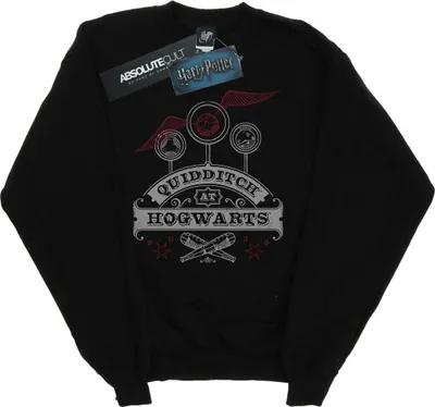 Produktbild von Harry Potter - "Quidditch At Hogwarts" Sweatshirt für Herren BI27157 (L) (Schwarz)