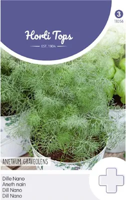 Image de Dill Nano | Aneth graines de Hortitops