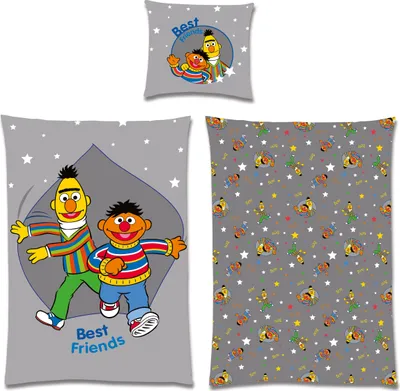 Produktbild von Sesamstrasse Bettwäsche, 200 x 135, 80 x 80, 100% Baumwolle, 60 Grad waschbar, Ernie und Bert mit Sternen