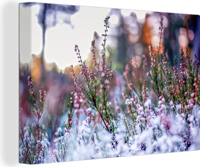 Produktbild von OneMillionCanvasses® - Leinwandbilder - 140x90 cm, Blumen - Winter - Schnee, Wandbilder Kunstdruck Wanddekoration