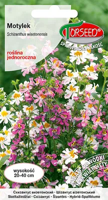 Produktbild von Schmetterlingssamen-Mischung 1g - Torseed