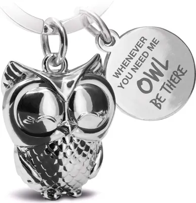 Produktbild von FABACH Eule Schlüsselanhänger Owly mit Gravur - Süßer Schlüsselanhänger Eule - Freundschaft und Liebe Glücksbringer aus Metall für Frauen in Silber - Whenever You Need me owl be There