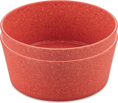 Immagine prodotto di Ciotola 890 ml Set da 2 CONNECT BOWL Koziol