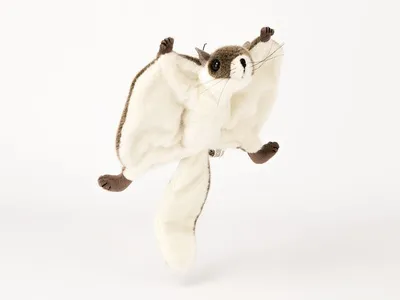 Produktbild von Kösen Flughörnchen 35 cm graubraun Kuscheltier