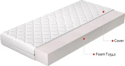 Obrázek produktu pro Pěnová matrace GODART 90x200 cm s hypoalergenním potahem