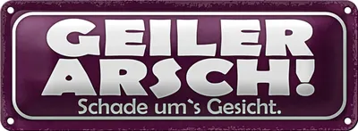 Produktbild von Blechschild Spruch 27x10cm Geiler Arsch Schade um`s Gesicht Dekoration