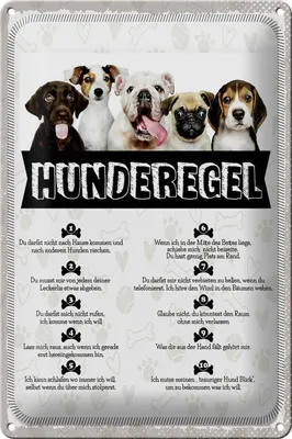 Produktbild von Blechschild Spruch 20x30cm Hunderegel lass mich raus