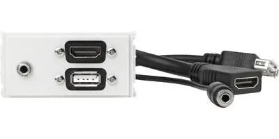 Image de Panneau HDMI Vivolink Outlet. USB. AUD