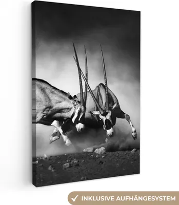 Produktbild von MuchoWow® - Leinwandbilder - Antilope - Schwarz und weiß - Porträt - Wildtiere - Tiere, Wandbild, Wanddeko Bilder Wohnzimmer, 80x120 cm
