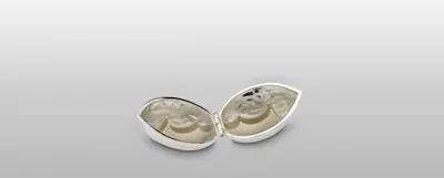 Produktbild von Nussknacker Walnuss, H 5,5 cm, Ø 9,0 cm x 6,5 cm