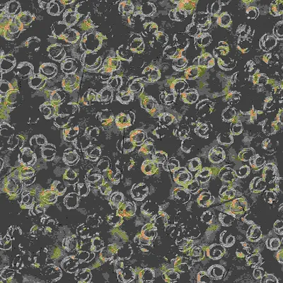 Produktbild von Strukturtapete 10334-15 Vliestapete Grafik 0.53 x 10.05 m Erismann ELLE Decoration schwarz
