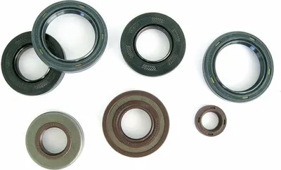 Immagine prodotto di Paraolio ATHENA M730000525000 gomma 15x25,5x7