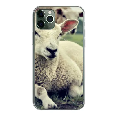 Produktbild von MuchoWow® Handyhülle Schutzhülle Hülle für iPhone 11 Pro Max Schaf - Lamm - Gras Silikon Softcase Handy Hülle - Schutz