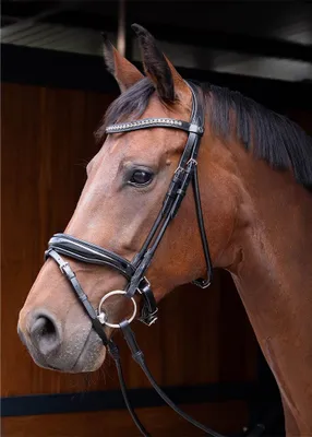 Zdjęcie produktu dla Wędzidło Harry's Horse Lacque Round-sewn Snaffle Black Pony Black Pony