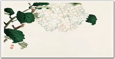 Produktbild von Coloray Küchenrückwand 100x50 Spritzschutz aus Glas - Blätter Zweige