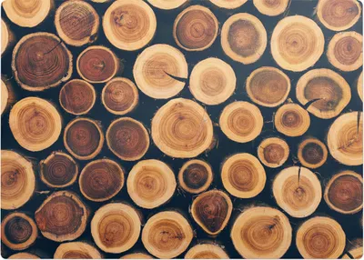 Produktbild von Holzkreise – Bodenschutzmatte – Rutschfest – Schutzmatte für Büro – Vinylmatte – Stuhlunterlage – 140 x 100 cm