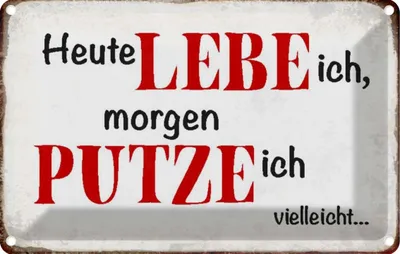 Produktbild von vianmo Blechschild 20x30 cm heute lebe ich morgen putze Spruch Zitat