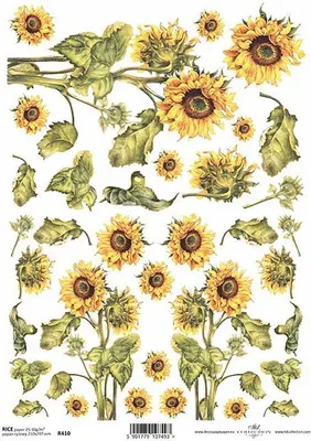 Immagine prodotto di Carta di riso per decoupage A4, girasoli