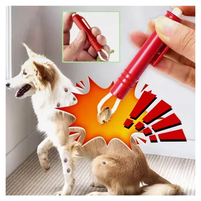 Produktbild von Zeckenreinigungsset aus Kunststoff für Haustiere, Hunde-Zeckenclip, Reinigungswerkzeug