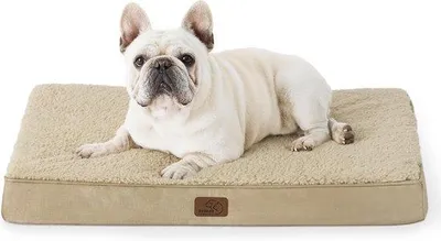 Immagine prodotto di Cuccia per cani piccola 76x51x7,6 cm, in peluche, lavabile, beige