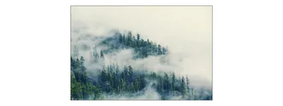 Produktbild von Muralo Fototapete Wald im Nebel 405 (B) x 270 (H) cm Vlies Tapete Wandtapeten Bäume Wohnzimmer Schlafzimmer moderne Wandbilder XXL Landschaft Panorama Wand Dekoration