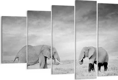 Produktbild von Bild auf Leinwand - Leinwandbild - 5 Teile - Elefanten Schwarzweiß Safari - 150x100cm - Wand Bild - Wanddeko - Wandbilder - Leinwanddruck - Bilder - Wanddekoration - Leinwand bilder - EG150x100-4186
