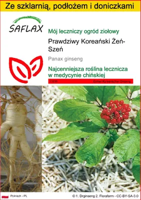 Zdjęcie produktu dla SAFLAX - Zestaw do uprawy - Prawdziwy Koreański Żeń-Szeń - 10 Nasiona - Z mini szklarnią, podłożem uprawowym i 2 doniczkami - Panax ginseng