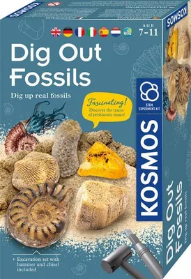 Obrázok produktu pre Kosmos Dig Out Fossils, Výkopová súprava, Archeológia, 7 rok / roky, Viacfarebný
