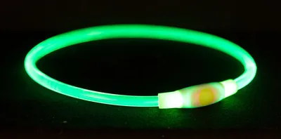 Produktbild von TRIXIE Flash Leuchtring USB - grün - 40 cm/ø 8 mm