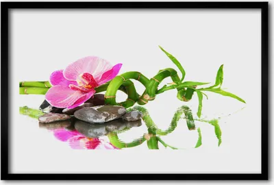Produktbild von Bild 60x40 MDF-Rahmen Wandkunst Bambus Blume Steine ​​Kunst