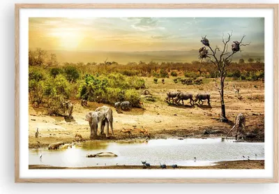 Produktbild von Gerahmtes Poster - Rahmen in heller Eiche - Safari Tiere - 91,5x61 cm - Wand Bild - Wanddeko - Wandbilder - Kunstposter - Wandposter - Bilderrahmen - Bilder - Kunstdruck - Wandbild - P2NAA91x61-3880