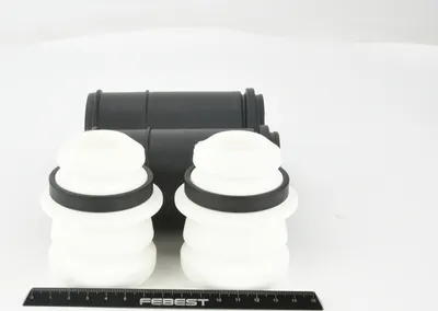 Produktbild von Febest Mshb-Csf-Kit