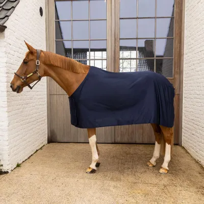 Produktbild von Kentucky Horsewear Summer Sheet light