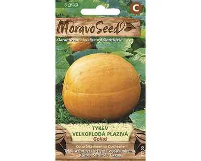 Immagine prodotto di Zucca rampicante GOLIAS 67100