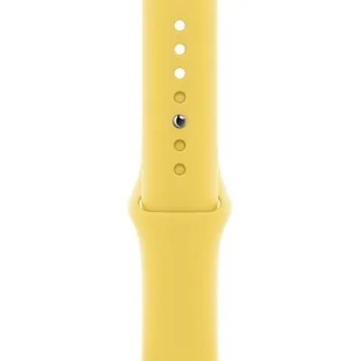 Produktbild von Apple Smartwatch-Band - Regular - Pin & Tuck Aufsatz - Ingwer - Fluorelastomer